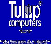Tulip Windows 210d  Boot Up Screen