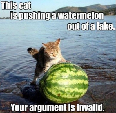 cat pushing melon out of lake.jpg