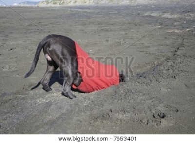 7653401.jpg (40.41 KiB) Viewed 5919 times 7653401.jpg