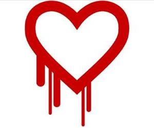 heartbleed.jpeg